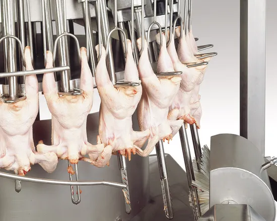 Poultry processing